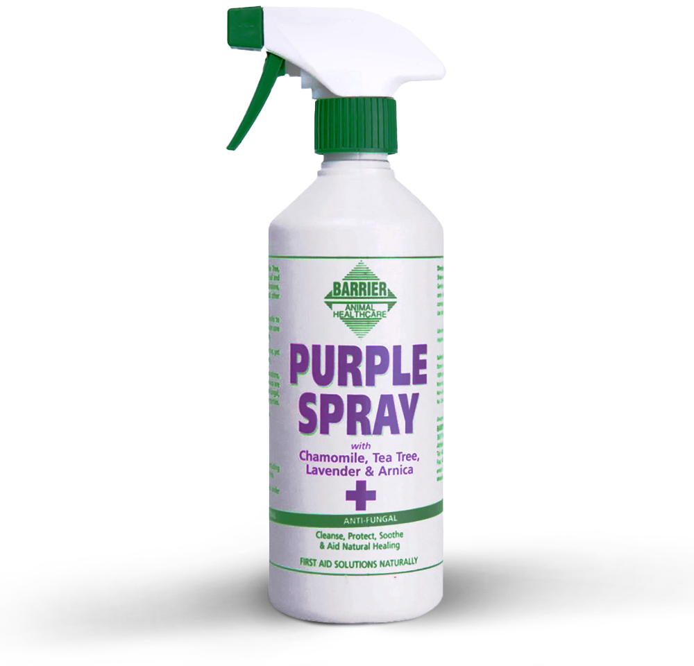 Purple Spray (Photo)